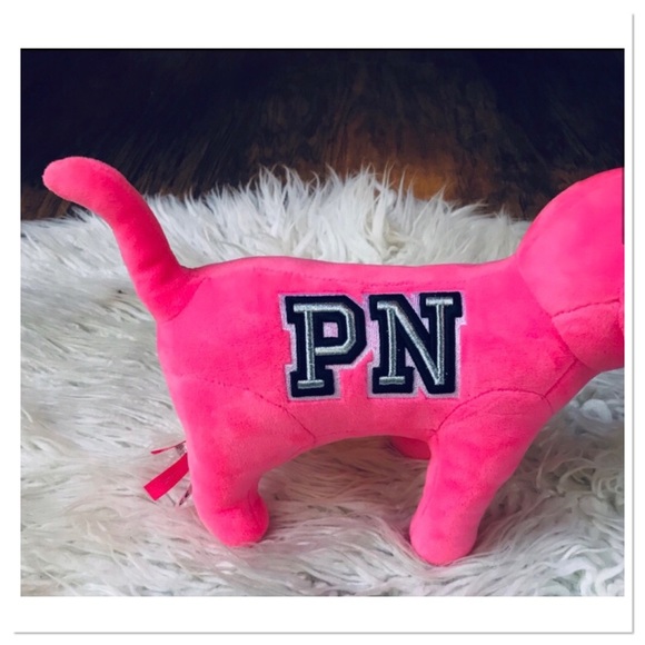Victoria’s Secret PINK Plush Large Dog Hot Pink Embroidered Details - Picture 3 of 10